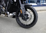 HARLEY DAVIDSON PAN AMERICA SPECIAL 2024