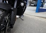 HARLEY DAVIDSON PAN AMERICA SPECIAL 2024