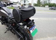 HARLEY DAVIDSON PAN AMERICA SPECIAL 2024